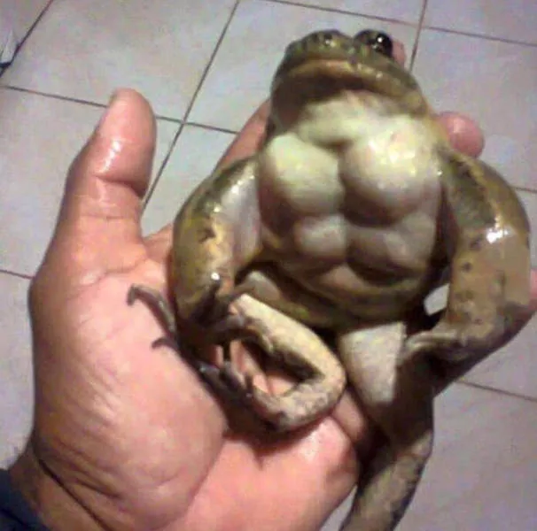 Picdump 44 - #18 