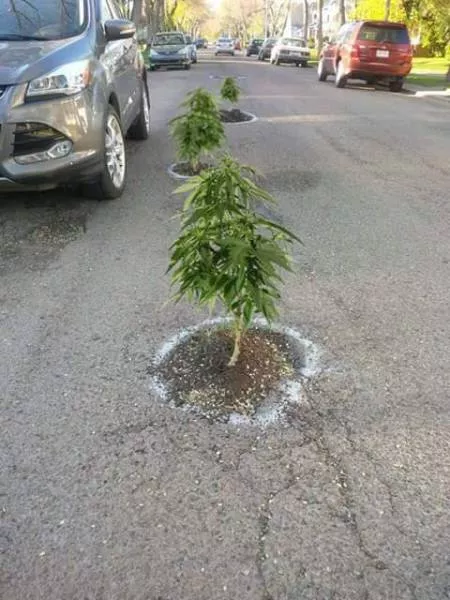Picdump 44 - #34 