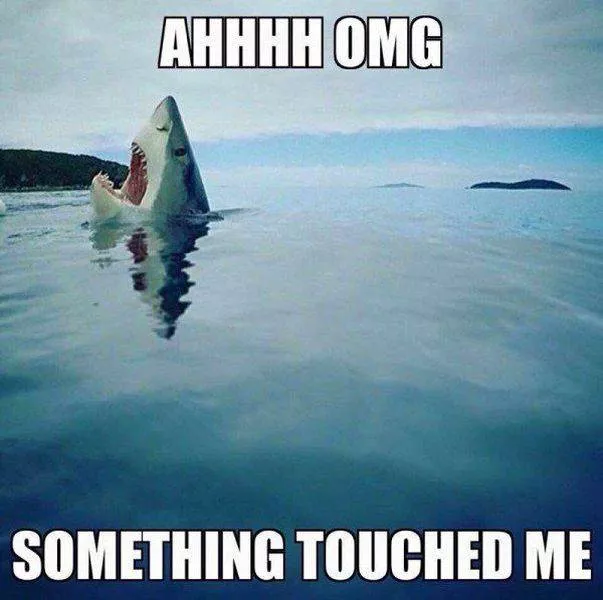 Picdump 44 - #39 