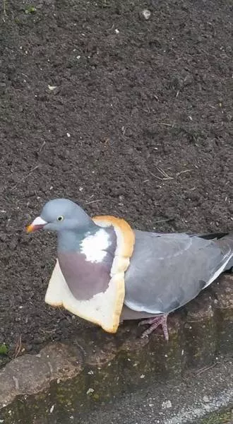 Picdump 44 - #68 