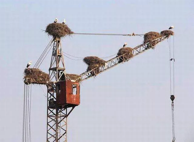 Picdump 44 - #72 