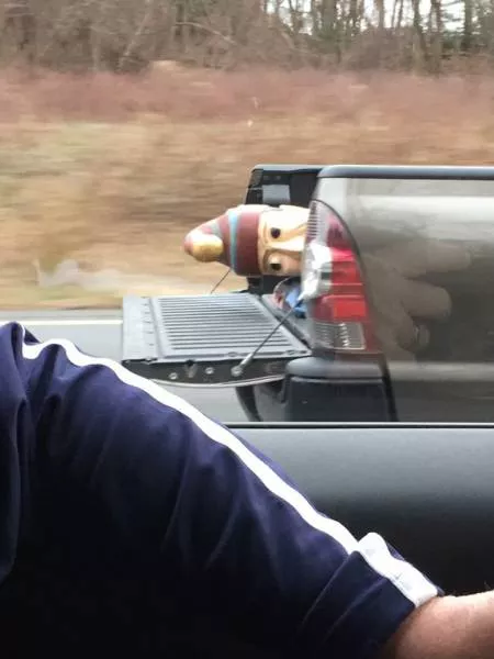 Picdump 170 - #51  Picdump 170 - #51