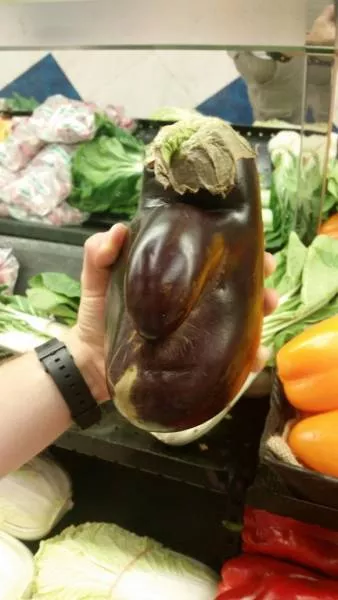 Picdump 171 - #13 