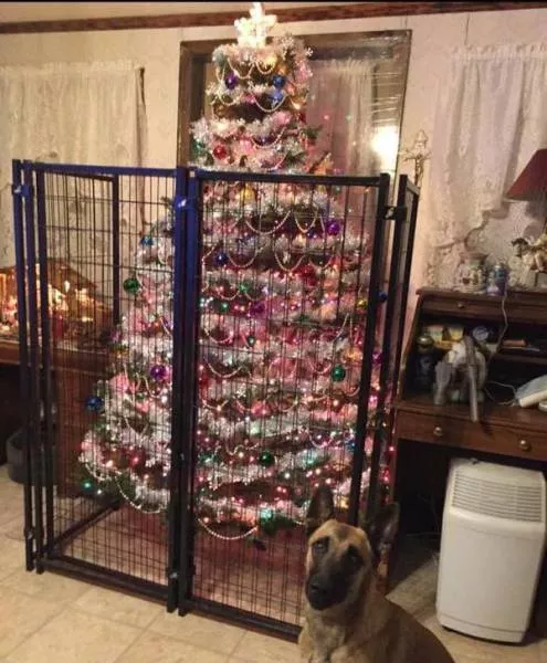 Picdump 171 - #14 