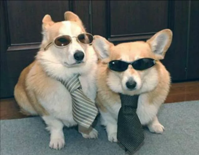 Picdump 171 - #45 