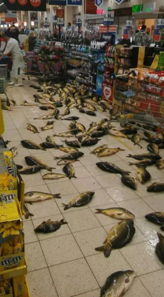 Picdump 171 - #8 