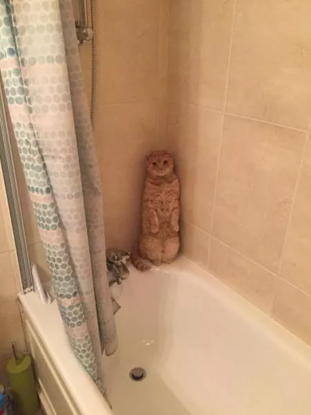 Picdump 172 - #22 