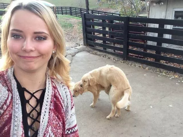 Picdump 172 - #37 