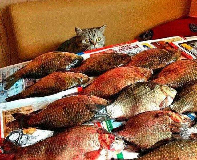 Picdump 172 - #5 