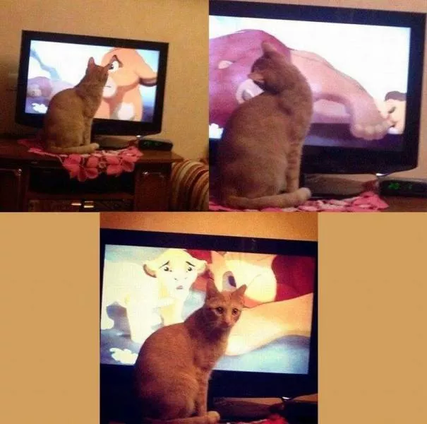 Picdump 172 - #50 