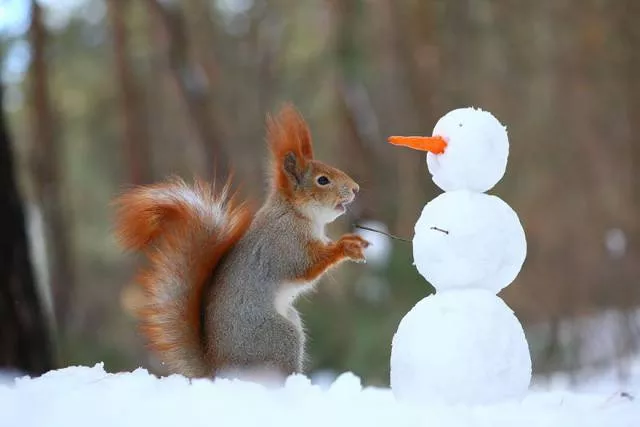 Picdump 172 - #9 