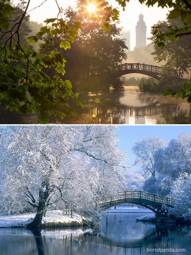 The wonderful effect of winter - #11 