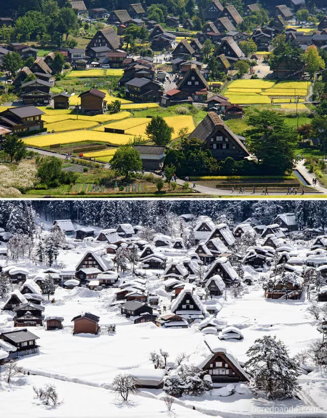The wonderful effect of winter