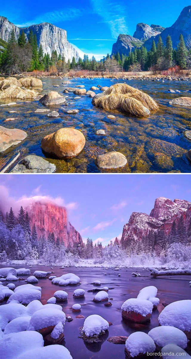 The wonderful effect of winter - #5 