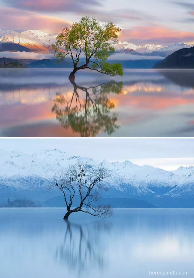 The wonderful effect of winter - #6 