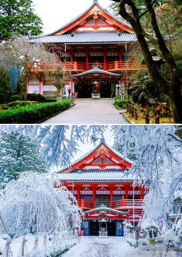 The wonderful effect of winter - #7 