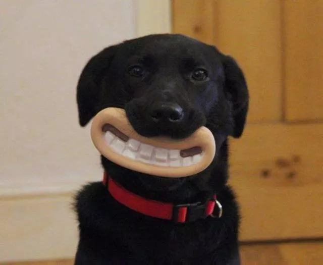 Picdump 173 - #27 