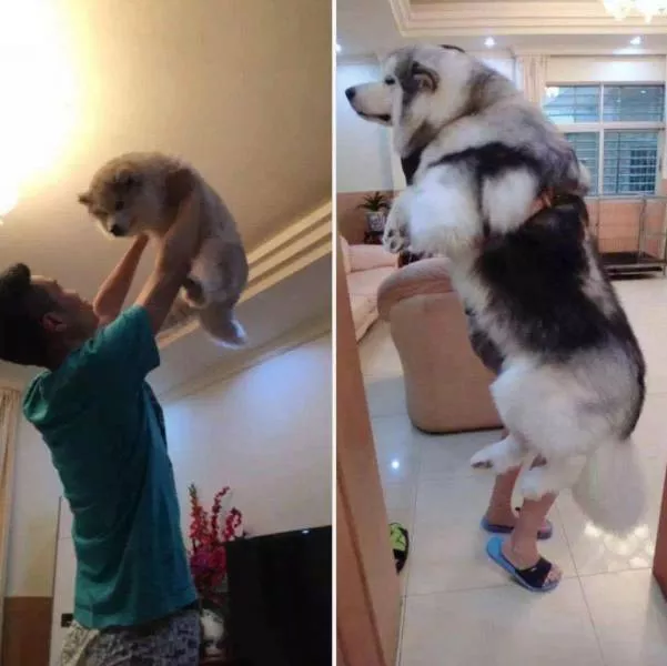 Picdump 173 - #31 