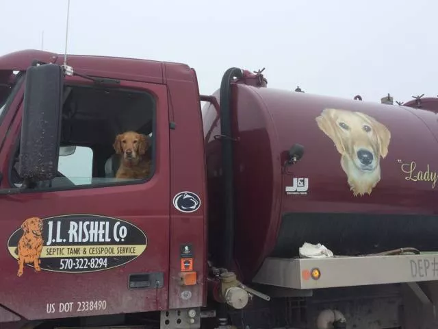 Picdump 173 - #43 