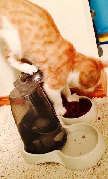 Picdump 173 - #44 