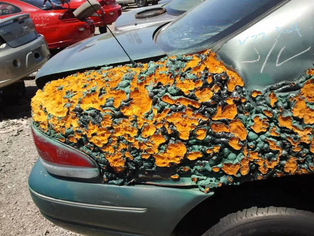 Picdump 173 - #45 