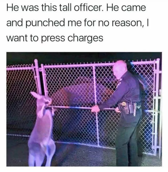 A collection of funny adult humor photos - #25 