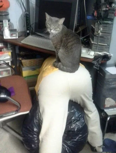 Im the boss here - #24 