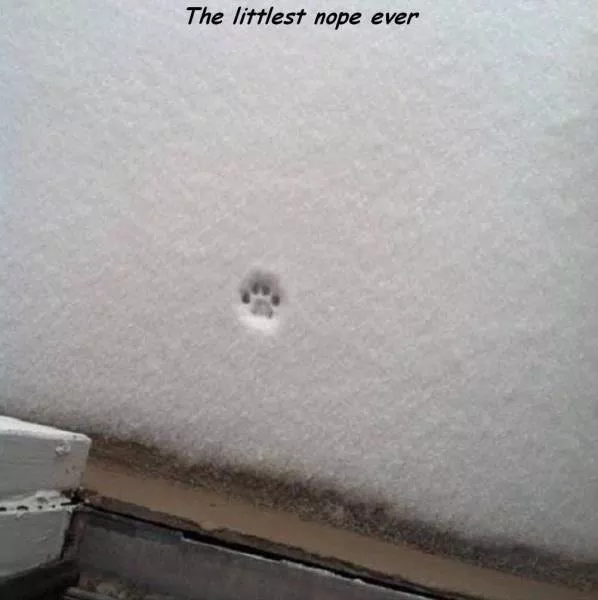 Picdump 174 - #3 