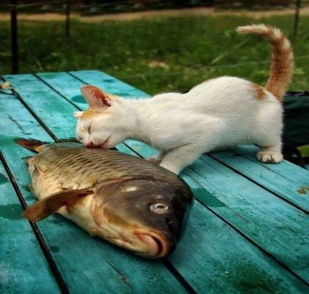 Picdump 174 - #39 