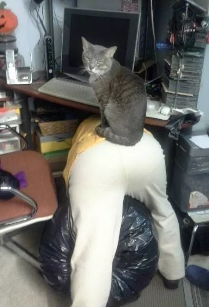 Picdump 174 - #45 