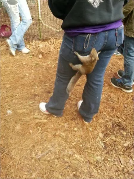 Picdump 174 - #50 