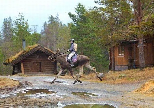 Picdump 174 - #51 
