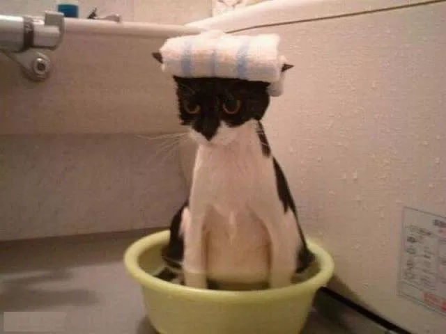 Picdump 174 - #59 