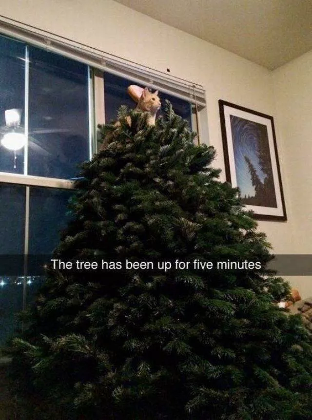 Picdump 174