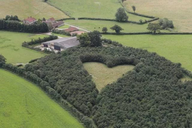 Picdump 174 - #65 