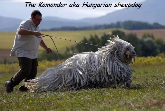 Picdump 174 - #75 