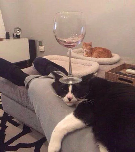 Picdump 174 - #94 Picdump 174 - #94