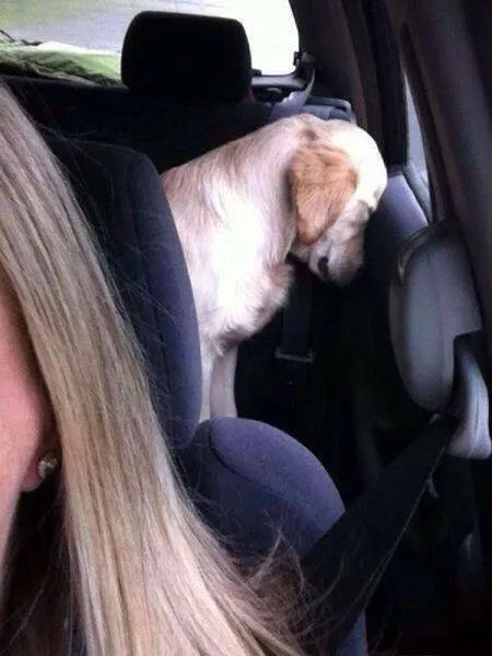 Picdump 174 - #99 Picdump 174 - #99
