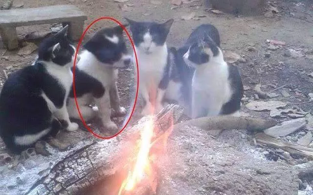 Picdump 175 - #15 
