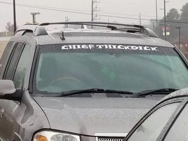 Picdump 175 - #19 