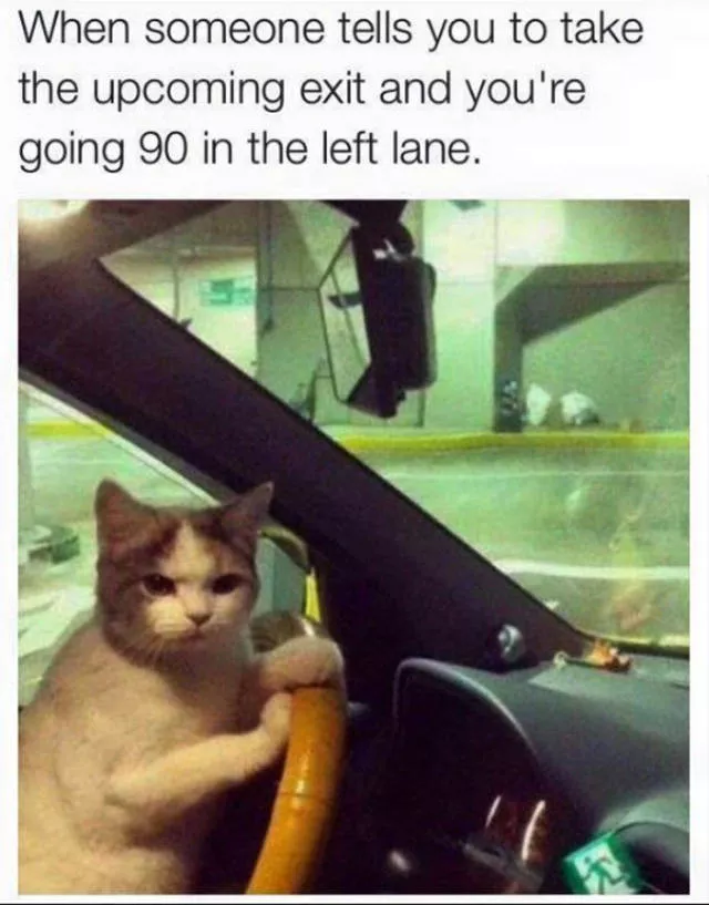 Picdump 175 - #3 