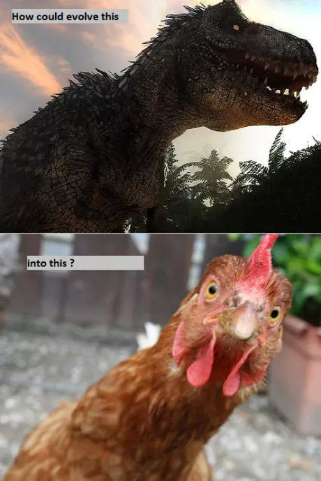 Picdump 175 - #38 