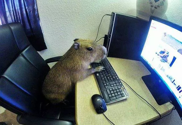 Picdump 175 - #49 
