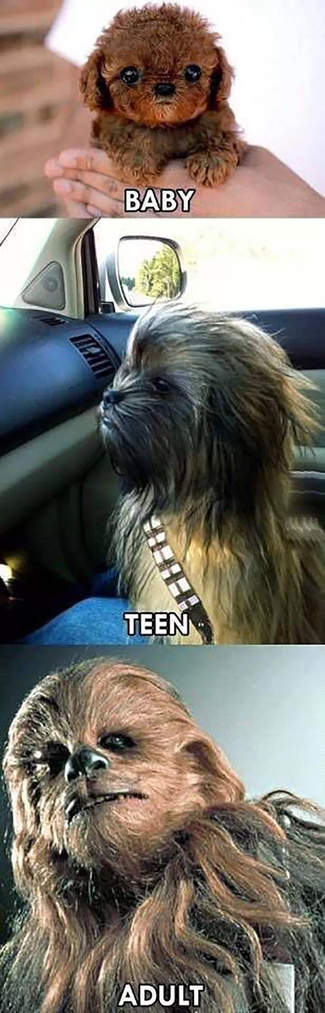 Picdump 175 - #5 
