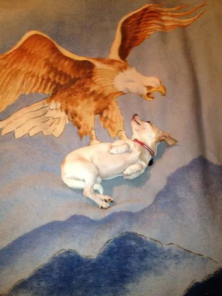 Picdump 176 - #1 