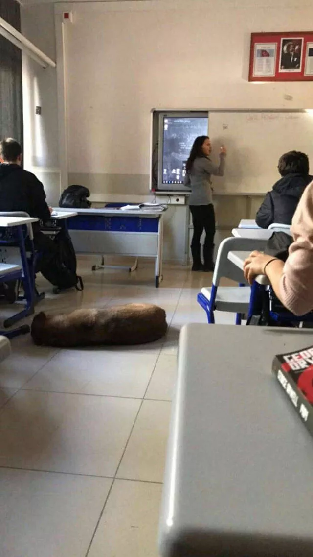 Picdump 176 - #40 
