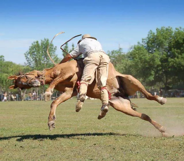 Will they survive incredible extreme situations - #13 