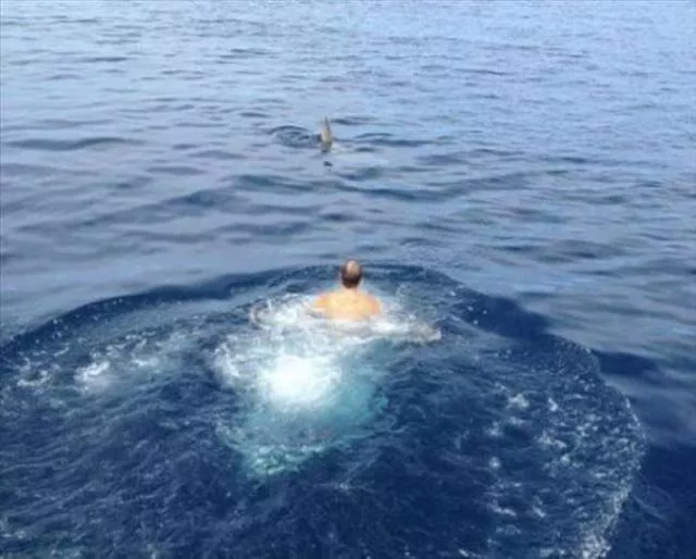 Will they survive incredible extreme situations - #19 