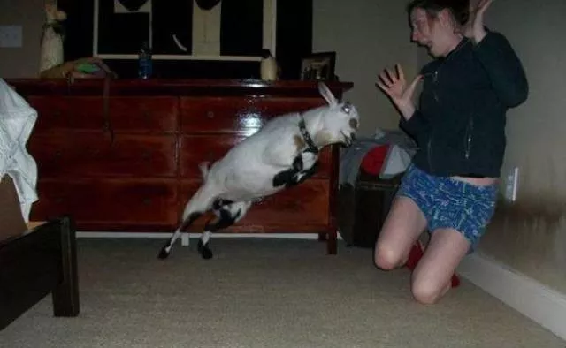 Will they survive incredible extreme situations - #7 