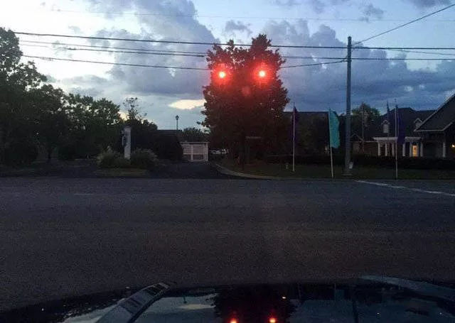 Look twice pictures - #25 
